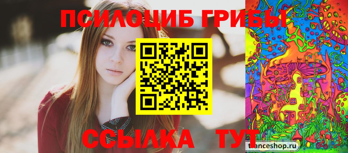 Псилоцибиновые грибы мицелий  Вход с VPN  Аксай 